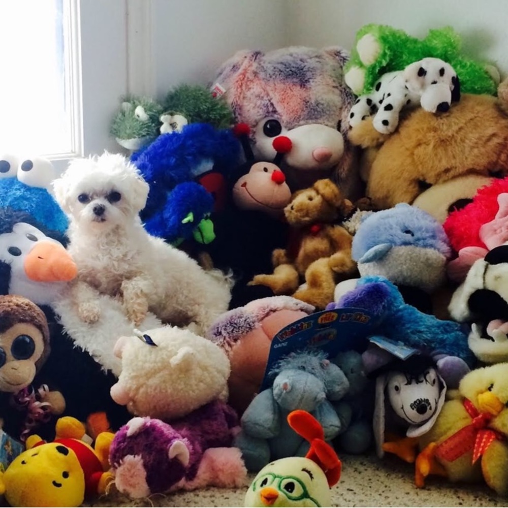 Meet your Posher, Crystal